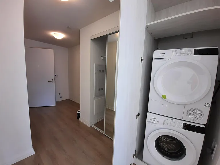 8 Widmer St — Photo 10
