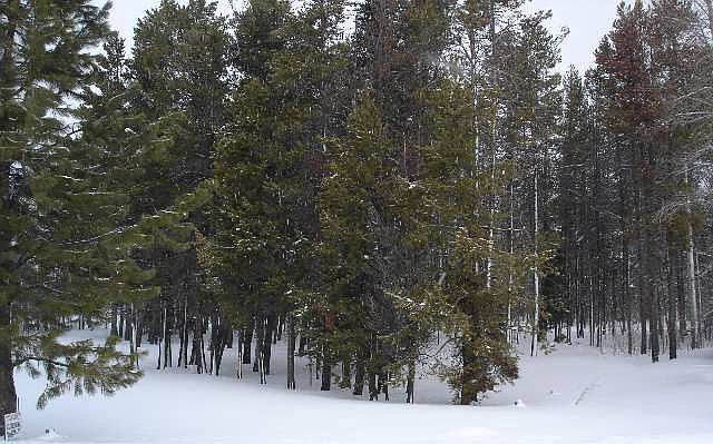 2nd image of 3 Hillhouse Subdivision