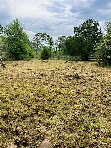 1 bed, 1.0 bath, $650 — Photo 2