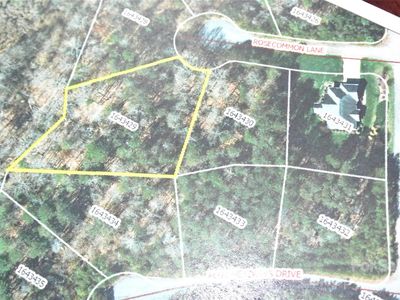 131 Rosecommon Ln, Rutherfordton, NC, 28139