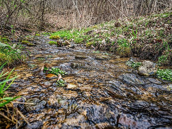 5th image of E11695 Chadwick Hollow Rd
