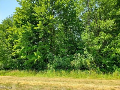 Munn Rd, Chagrin Falls, OH, 44023