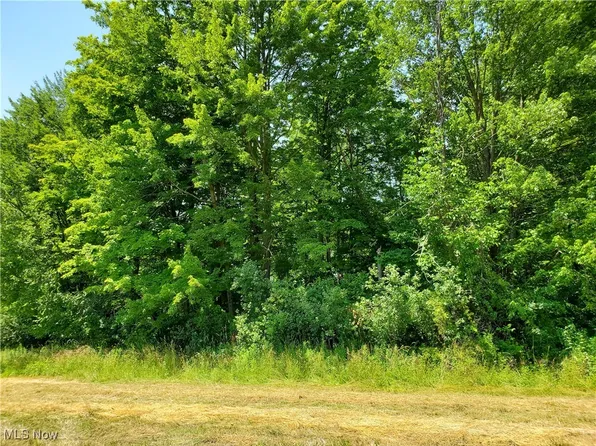 Munn Rd, Chagrin Falls, OH 44023