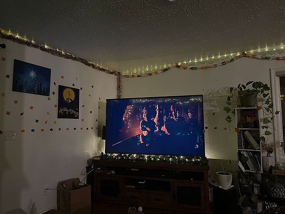 3rd image of 3431 N Tampa Ct
