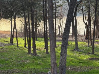 1269 Clevenger Cove Rd Road, Hollister, MO, 65672
