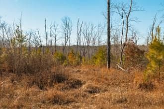 2nd image of 0 White Oak Rd Lot 15
