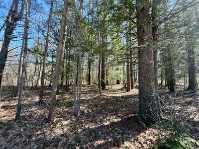 Lot 31 Pequawket Trail, Hiram, ME, 04041