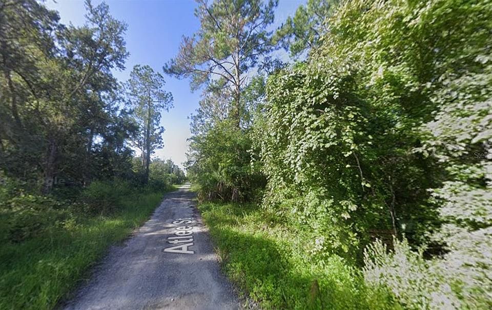 2nd image of Atlee St Lot 7