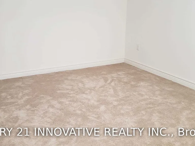 492 Forsyth Farm Dr #BASEMENT — Photo 5