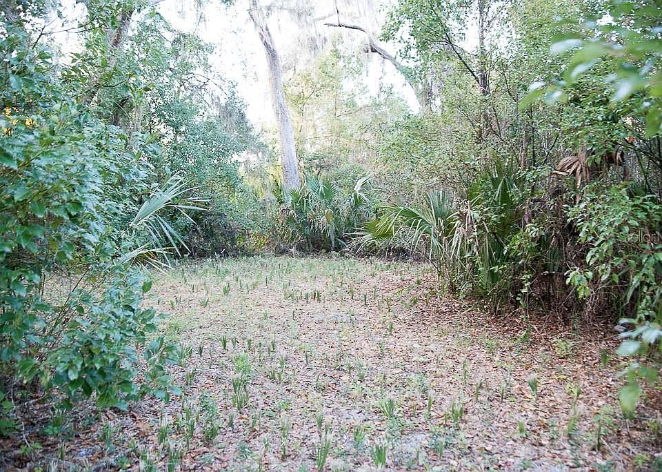 2nd image of N Volusia Ave
