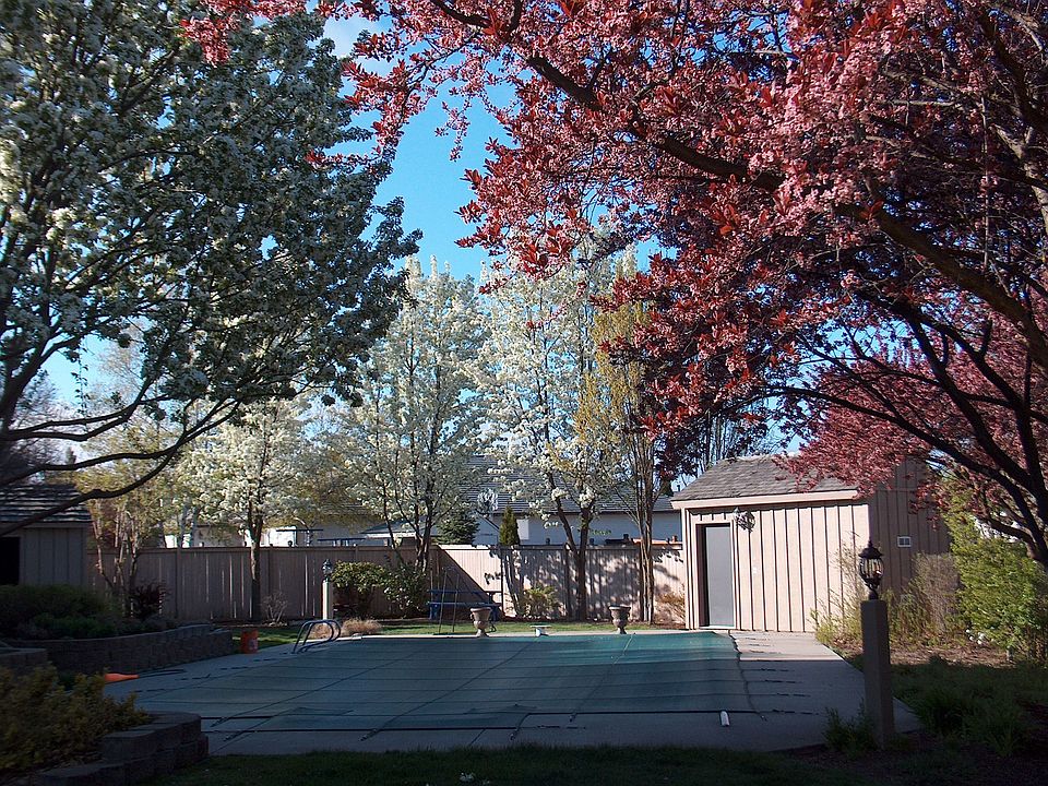 partial backyard