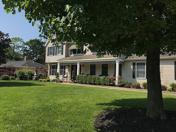 Shade From The Trees (Front)