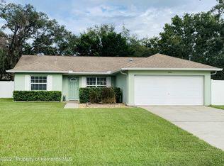 3447 Thunderbird Ave, Spring Hill, FL 34606