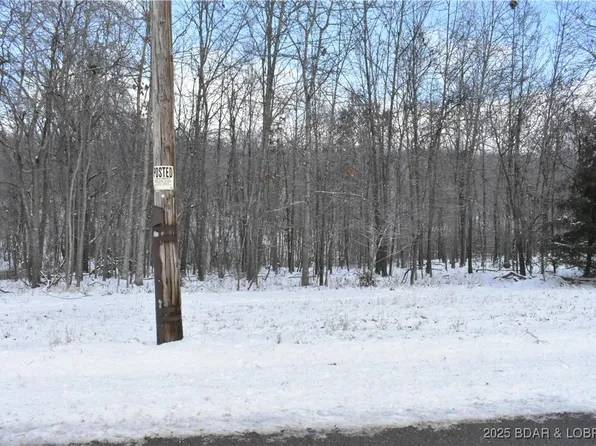 LOT 20 Oak Point Dr, Gravois Mills, MO 65037
