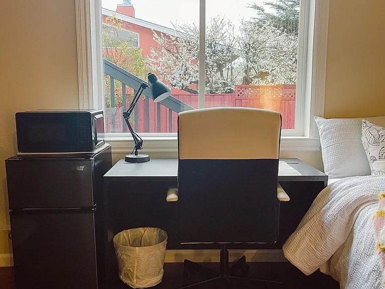 mini microwave, fridge and a nice working table