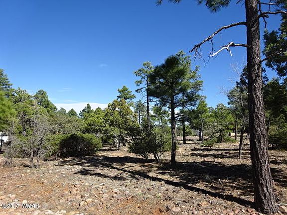4th image of 1785 S Twin Peak Trl