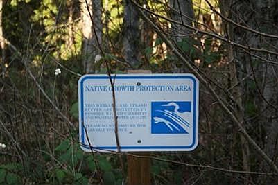 Native growth protection area behind the house.