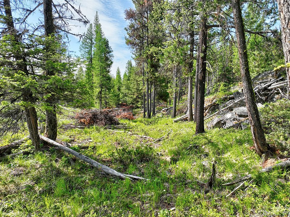 Nhn Lodgepole Dr, Marion, MT 59925 MLS 30007497 Zillow