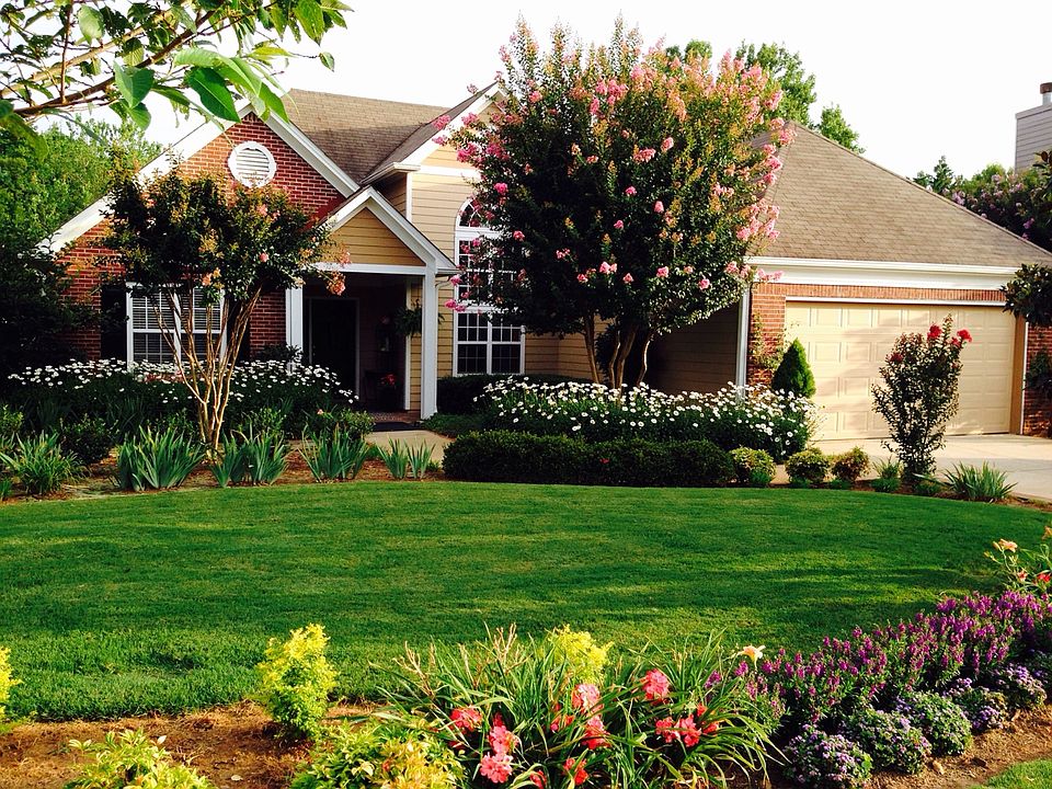 immaculate ranch