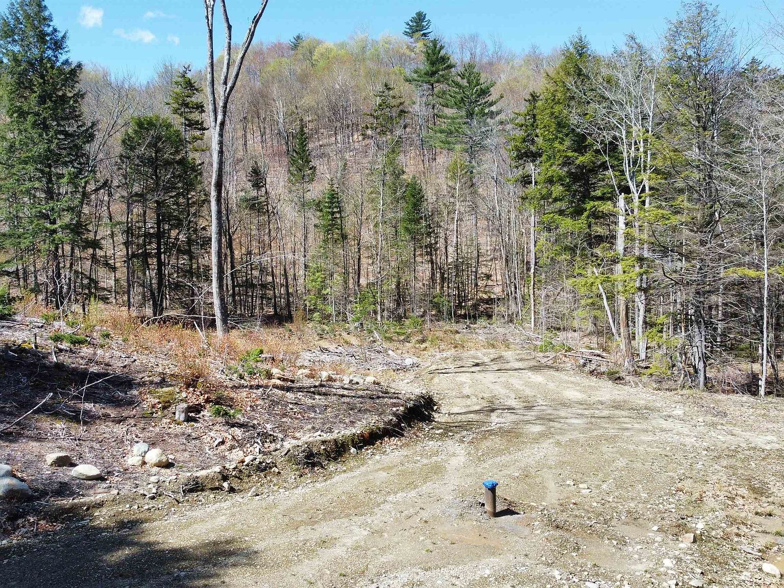 667 Murray Hill Road, Hill, NH 03243 Zillow