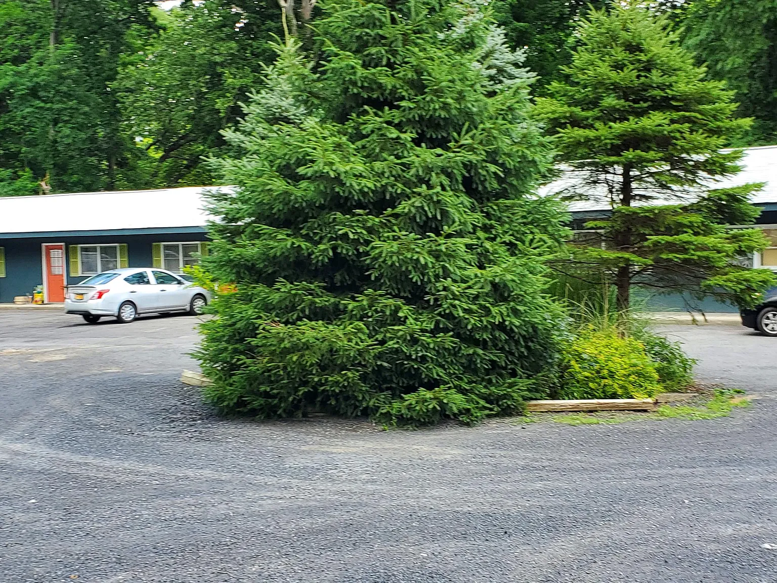 1181 Route 9W — Photo 3