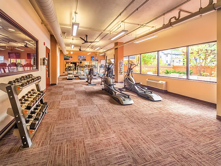 Fitness Center with Cardio and Strength Equipment