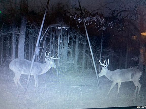 3rd image of 3952 County Road 258