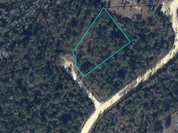 0 Kulm Ct Lot 13, Alford, FL 32420