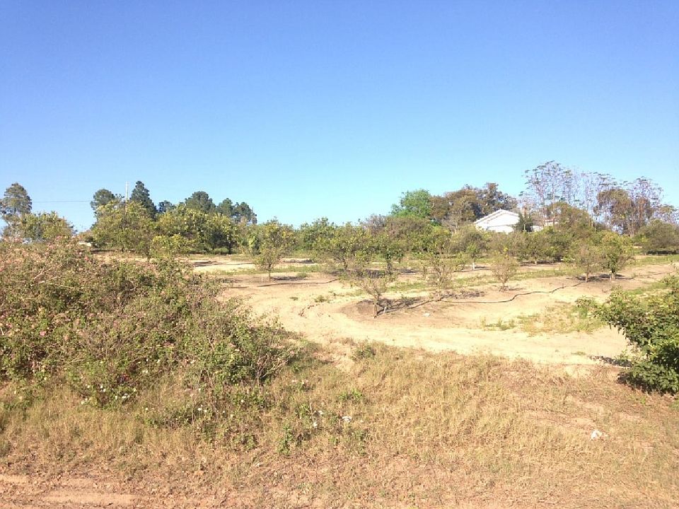 Asset Main Image