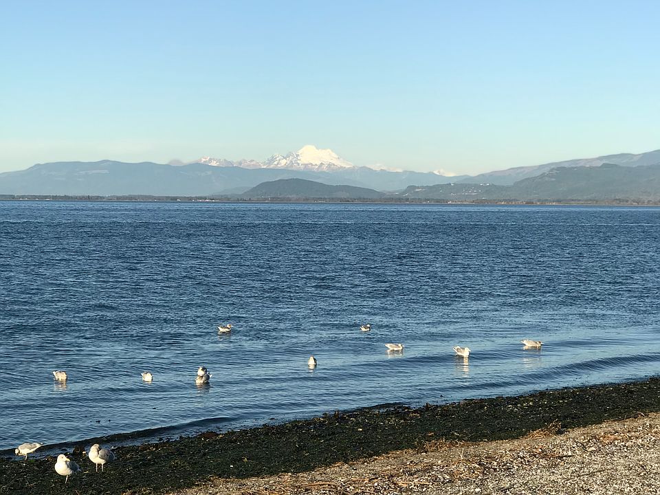 2nd image of 331 Arrowhead Beach Rd