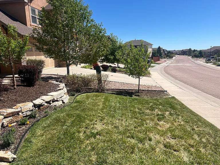 12234 Angelina Dr — Photo 3