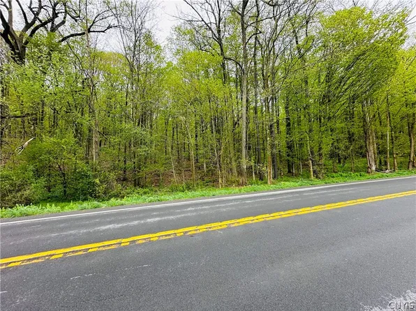 0 Buckley Hill Rd #4, Moravia, NY 13118