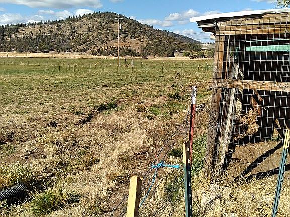 Back pasture