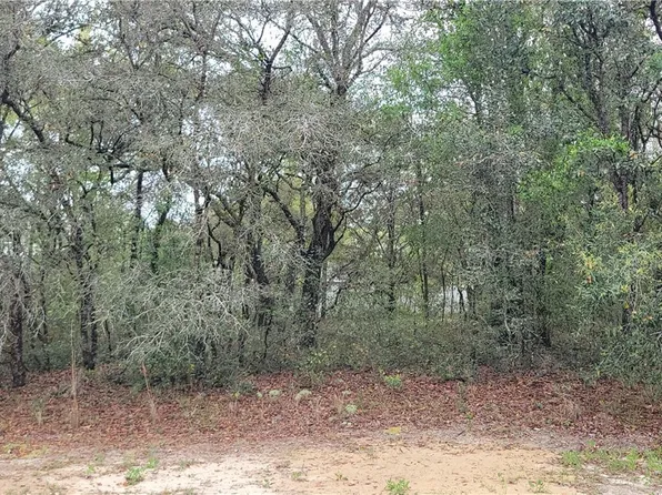 3028 W Randolph Ln, Citrus Springs, FL 34433