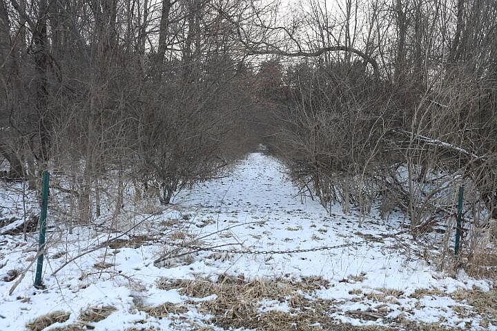 2nd image of 0 Cochran Rd
