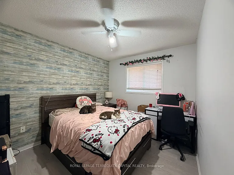 225 Country Ln — Photo 14