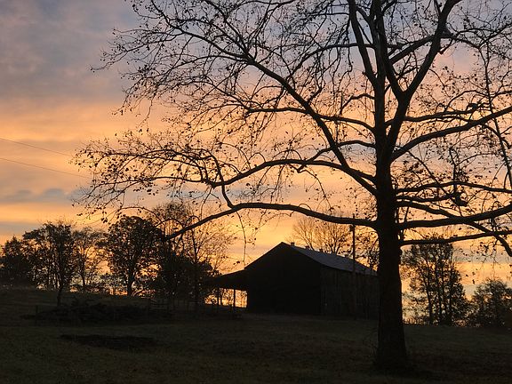 view out front of home