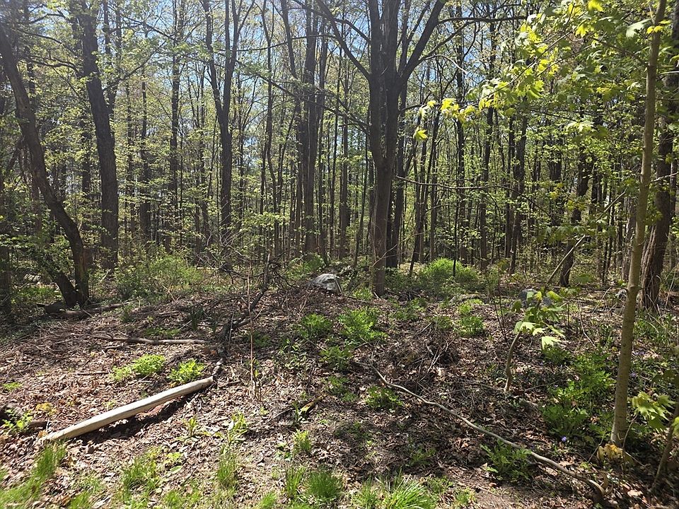 2nd image of LOT 1 Winter St