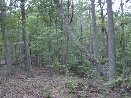 4th image of 313 Chelaque Way Lot 121
