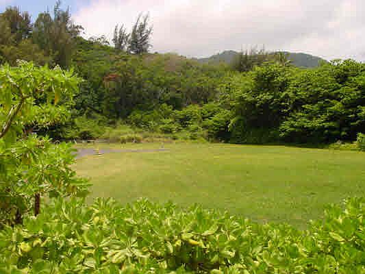 3rd image of Kuhio Hwy Lot 83-B