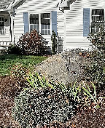 Some landscaping