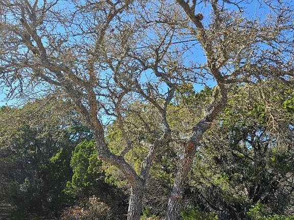 3rd image of 15106 Apple Springs Holw