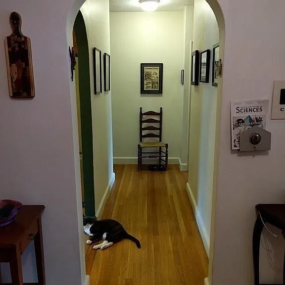 Hallway (cat not included)