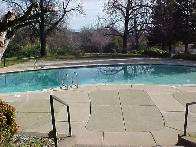 Pepper Tree — Photo 3