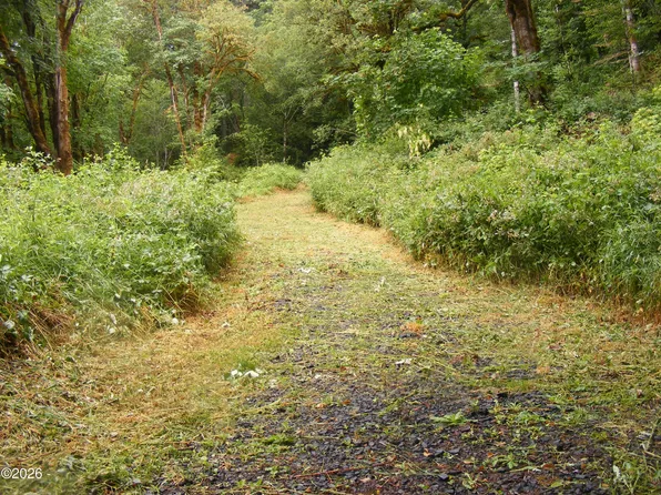 Tl20123255 E Alsea Hwy, Alsea, OR 97324