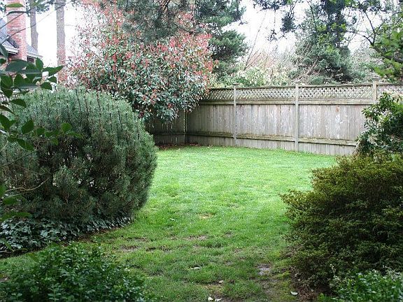 More Back Yard