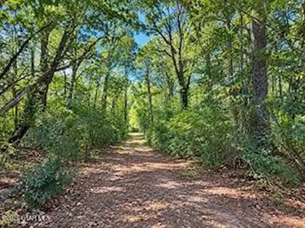 Harpole St, Maben, MS 39750