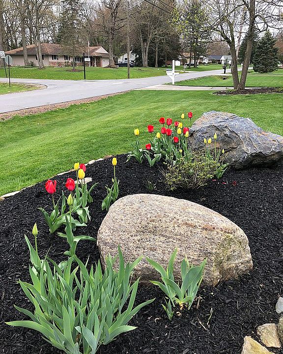 Front yard we’ll landscaped