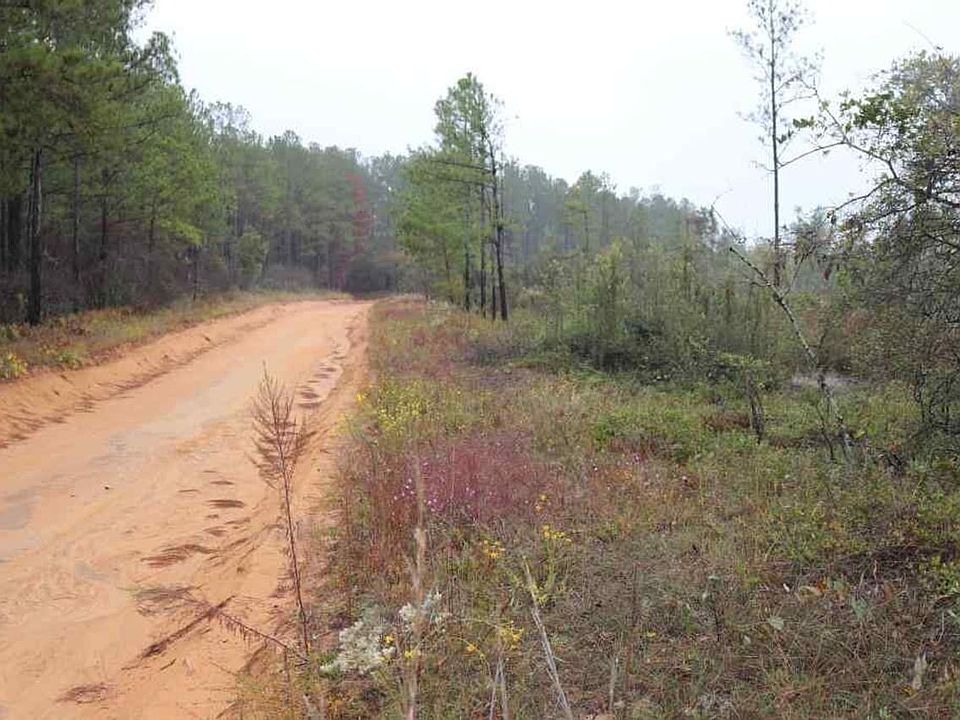 1st image of Johnson Cemetery Rd