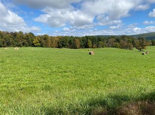 0 Van Buskirk Gulf Rd, Newfield, NY 14867